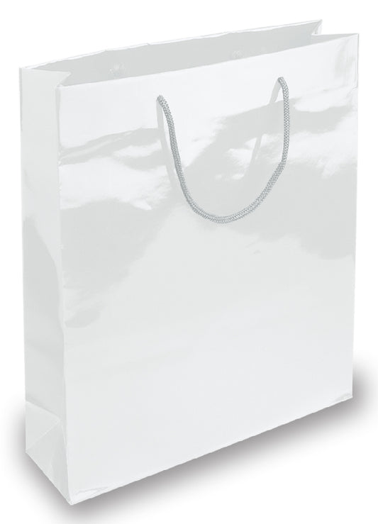 BORSA IN CARTA PLASTIFICATA CM.20x25x10