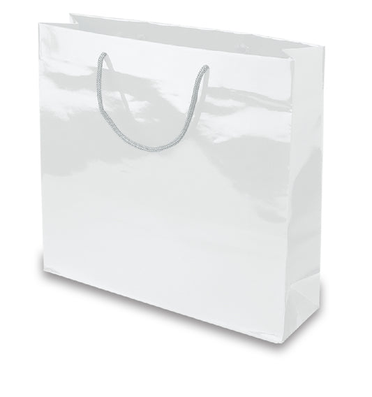 BORSA IN CARTA PLASTIFICATA CM.38x30x12