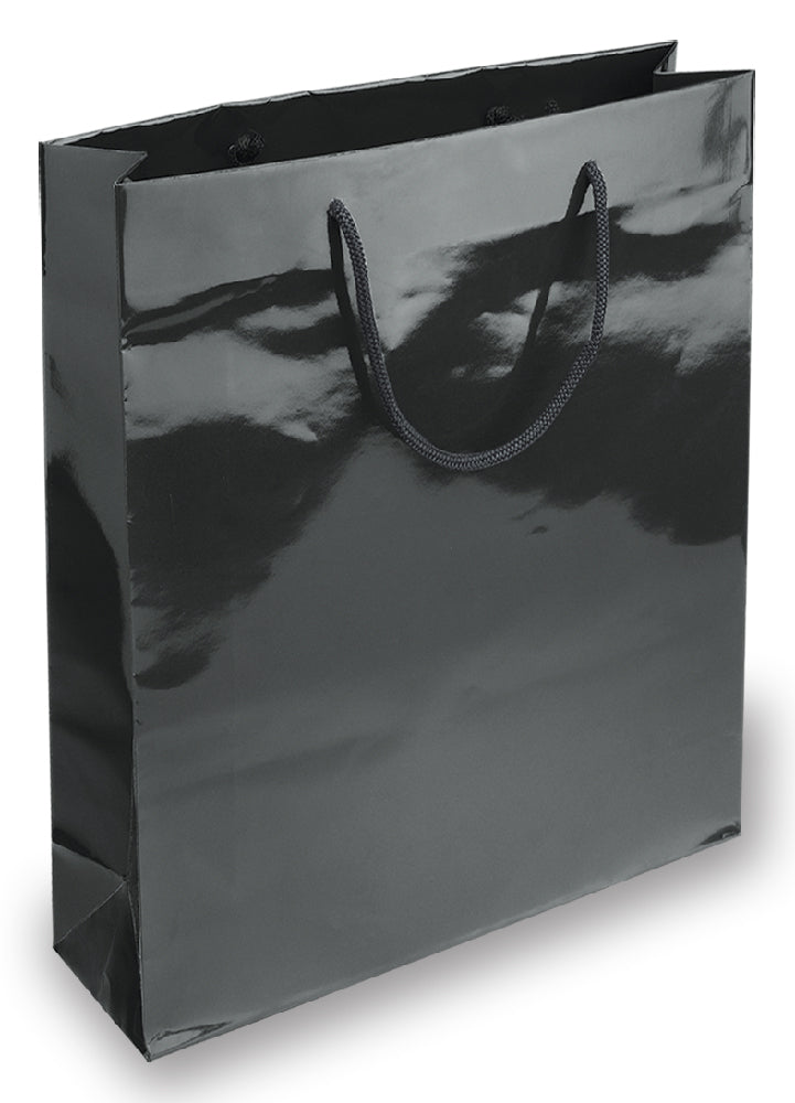 BORSA IN CARTA PLASTIFICATA CM.20x25x10
