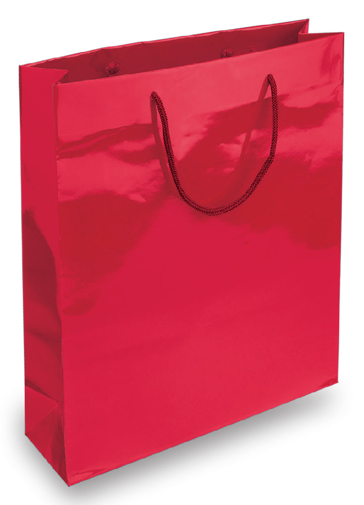 BORSA IN CARTA PLASTIFICATA CM.20x25x10