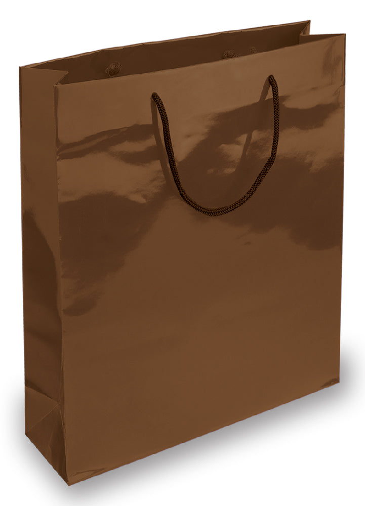 BORSA IN CARTA PLASTIFICATA CM.20x25x10