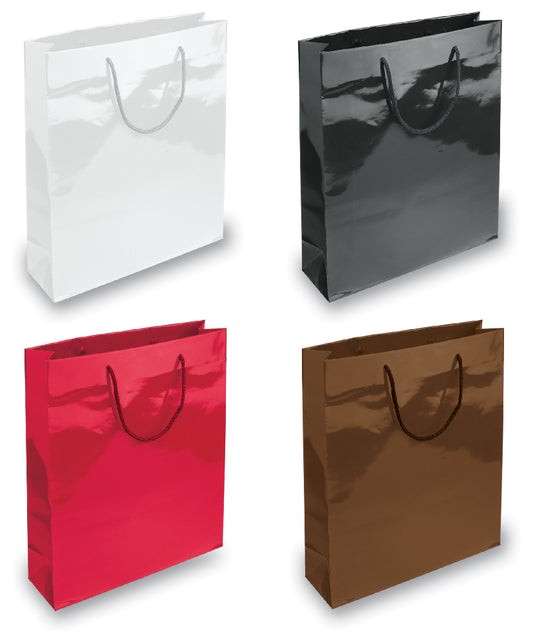 BORSA IN CARTA PLASTIFICATA CM.20x25x10