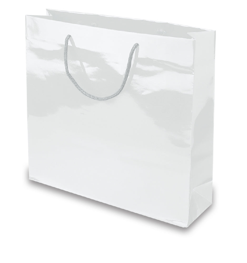 BORSA IN CARTA PLASTIFICATA CM.38x30x12