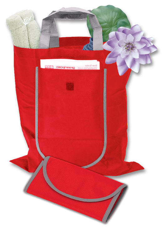 BORSA-BORSELLINO IN TNT