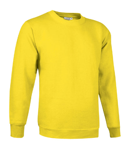 FELPA GIROCOLLO ADULTO 295GR