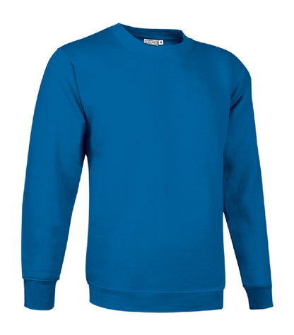 FELPA GIROCOLLO ADULTO 295GR