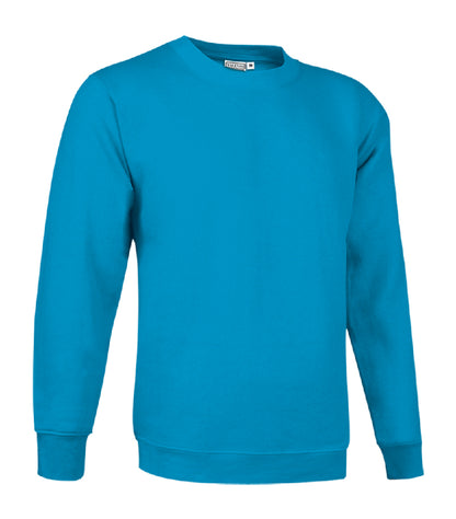 FELPA GIROCOLLO ADULTO 295GR