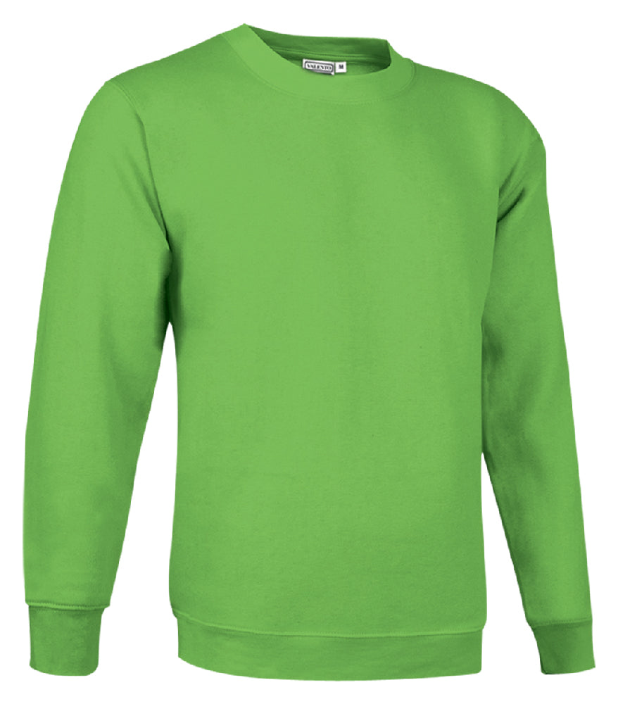 FELPA GIROCOLLO ADULTO 295GR