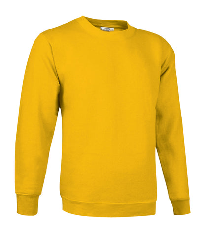 FELPA GIROCOLLO ADULTO 295GR